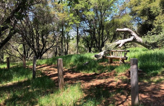 Papillon Cellars - Foto 20