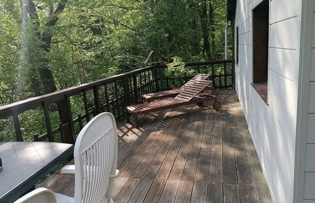 Chalet Vogelzang in the Ardennes - Foto 21