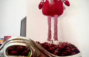 Quinta Mazagatos Segovia - Foto 67