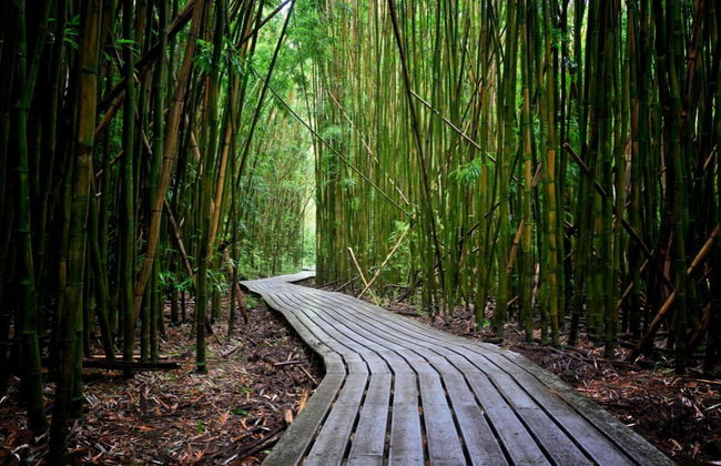 Kuau Plaza Paia Condo with Parking - Foto 33