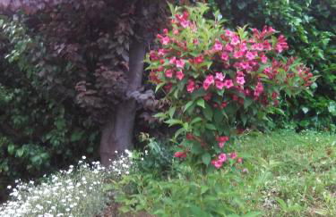 Casa Rural Calecha - Photo 18