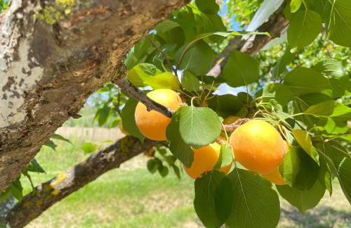 Il Leccio Agriturismo - Foto 41