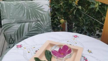 Ferienwohnung in Anni's Ferienhaus - Foto 4