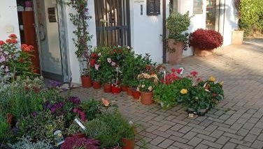 Appartamento vicino al mare - Foto 3