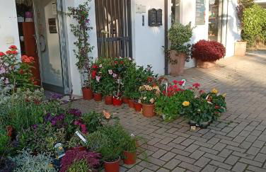 Appartamento vicino al mare - Foto 3