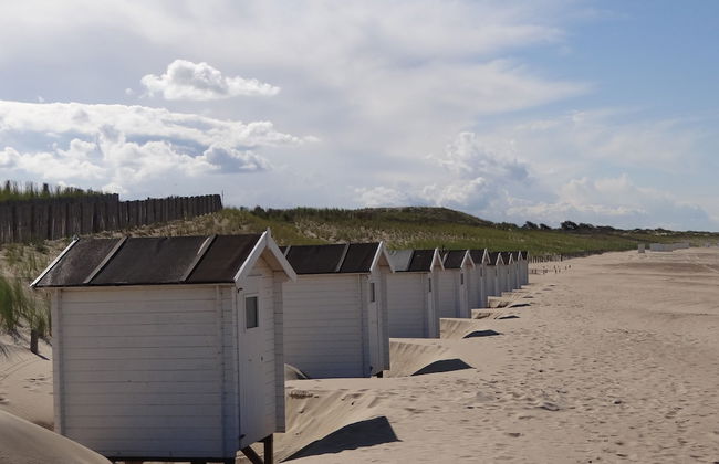 Dike House in Schoondijke Near Beaches - Foto 24