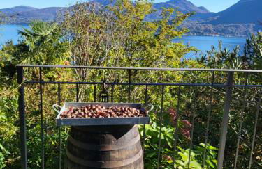 Bella Vista Lago Maggiore Einzigartiger Blick 365 Tagen - Foto 66