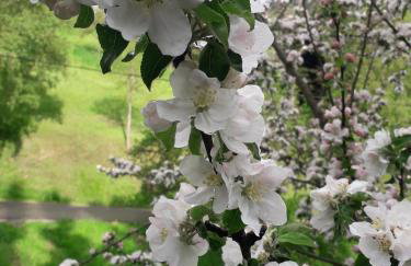 Christianshof - Photo 37