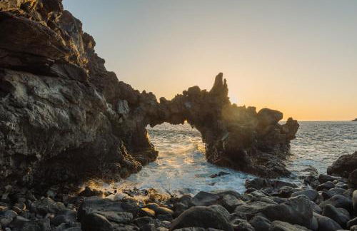 LAR Tamaduste - Foto 30