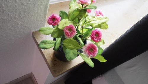 Villa Natur Monteur & Ferienwohnung mit WLAN & PARKPLATZ - Foto 4