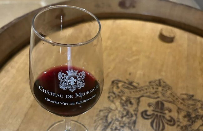 Traslado privado De Lyon a Beaune - Foto 7