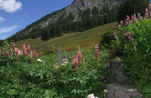 Residence Iris BeB - Foto 42