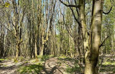 Appartement am Brunnenplatzl mit Bademantelzugang - Foto 29