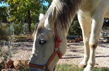 Casas Rurales La Loma Del Carrascal - Foto 7