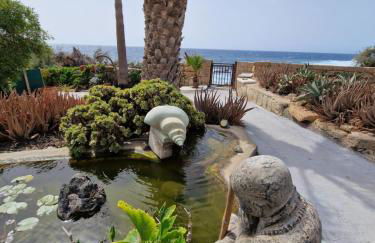 Little Paradise in El Médano - Foto 17