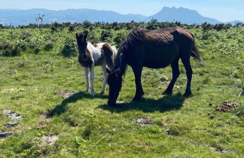 maison Basque Maïana - Foto 25