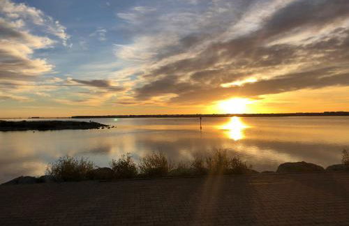 T 3 appart les jardins du phœbus - Foto 22