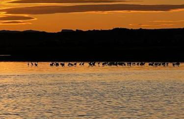 Apartment with roof terrace, Mar de Cristal - Foto 49