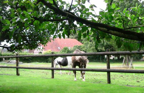 Riggers Hof - Foto 9