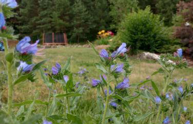 Agroturystyka AMiG - Foto 9