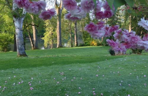 DunMovin’ Oregon - Foto 17