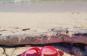 Apartamento de Inés Las Carolinas - Foto 40