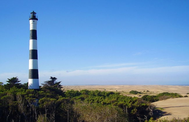 Punto Playa - Foto 23