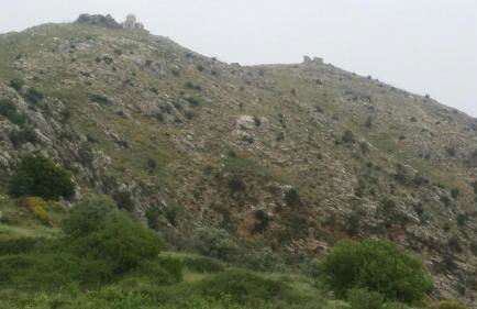 Elia Meronas - Photo 51