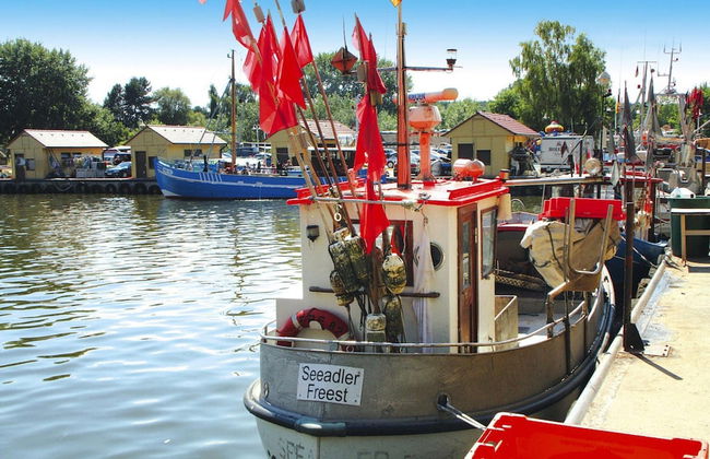 Thatched Holiday Home in in Freest With Fireplace Stove - Foto 11