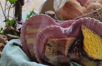 Sitio Lar da Terra - Foto 46