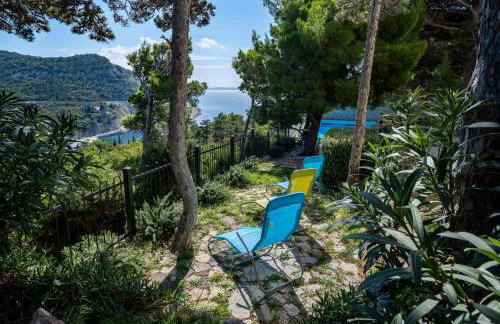 Villa Degenija - Principality of Zarijak - Foto 8