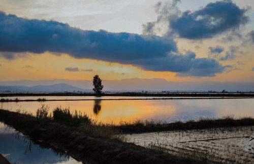 La Casita del Poble Nou del Delta - Foto 12