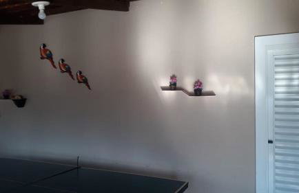 Sítio Santa Terezinha Canastra - Foto 78