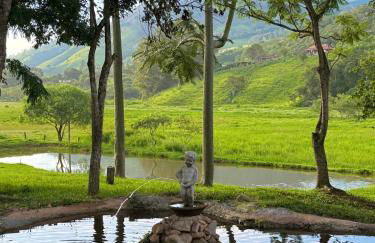 Sítio colonial no Sul de Minas Gerais - Foto 11