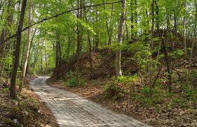 Green Ravine - Foto 19