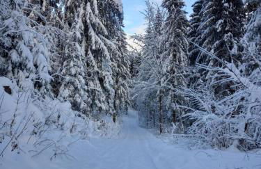 Ferienwohnung Seifert - Foto 14