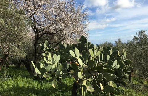 Agriturismo Petrara - Foto 62