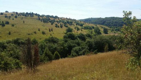 Ferienhaus-4Seasons - Foto 3