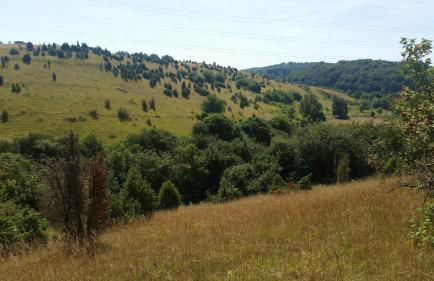 Ferienhaus-4Seasons - Foto 3