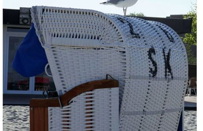 Ostseeblick Berolina - Foto 23