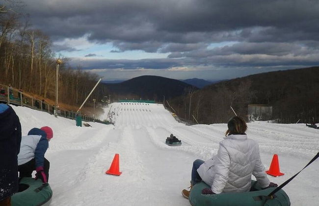 Stoney Creek Cottage Wintergreen w EV Charger - Foto 49