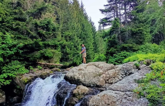 Ny Çambaşı - Foto 79