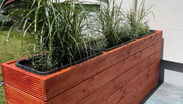 Finkennest Bad Harzburg - Foto 2