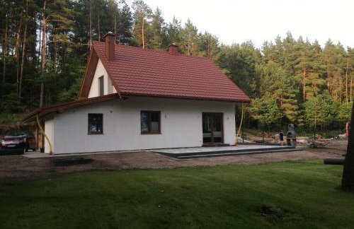 Dom w głębi lasu - Foto 2