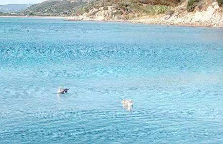 Artemis Stone House - Photo 50