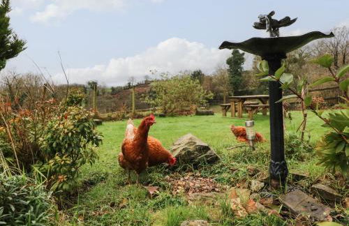 Barley Meadow - Foto 18