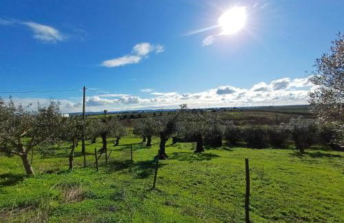 Quinta do Minhoto, Charming country House close to Golegã - Foto 6