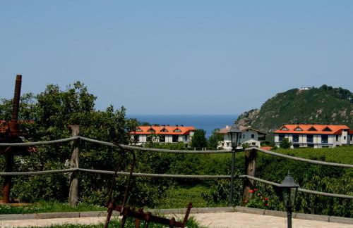 Usotegi Agroturismo - Foto 101