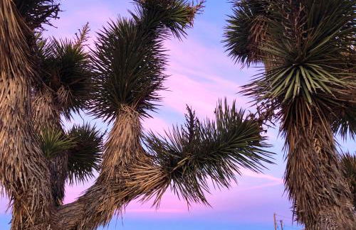 Cozy desert retreat with amazing views only 4 miles to JTNP - Foto 47