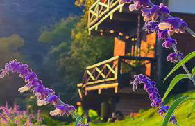 Cabana Valle Pietra - Photo 8